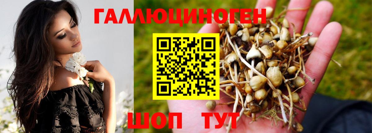 Галлюциногенные грибы Magic Shrooms  Вход с VPN  Десногорск 